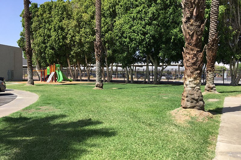 Playground by grass area